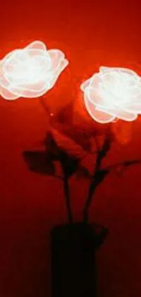 Bring romance and intimacy to your phone with this stunning live wallpaper featuring digital roses blooming in a vase against a red wall