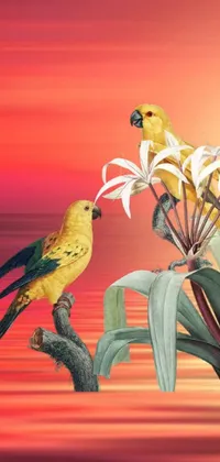 This live wallpaper depicts two birds sitting on a tree branch against a backdrop of tropical flowers