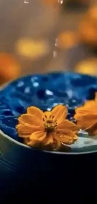 This stunning live wallpaper features a vibrant blue bowl filled with beautiful yellow flowers, set on a rustic wooden table