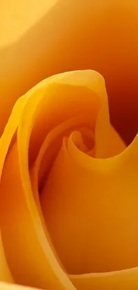 This phone live wallpaper displays a stunning close-up view of a yellow rose with a minimalistic and abstract design