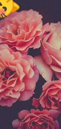 This phone live wallpaper showcases a digital artwork featuring a stunning bunch of pink roses, set atop a luxurious table