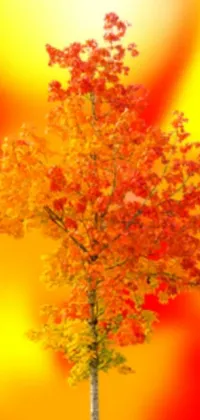 Looking for a beautiful phone live wallpaper? Check out this stunning tree standing in the grass! The tree features detailed red, orange, and yellow leaves that blow in the wind while the grass beneath it is also animated
