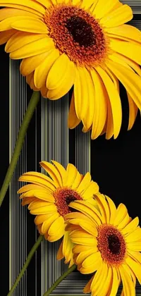 Enhance your mobile device with an exquisite live wallpaper showing two delightful yellow flowers side by side