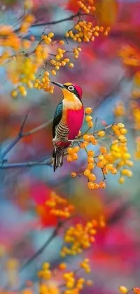 Decorate your phone with this stunning autumn-inspired live wallpaper featuring a colorful bird perched on a branch of a tree