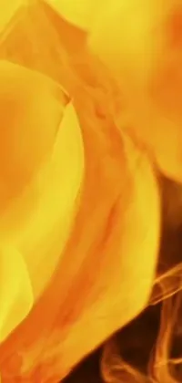 This live wallpaper depicts a bunch of ripe bananas simply positioned on a wooden table against a background of swirling orange and yellow fire flames cosmos