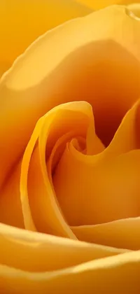 This phone wallpaper features a stunning macro photograph of a yellow rose