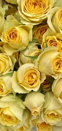 This phone live wallpaper features a stunning close-up view of a bunch of beautiful yellow roses
