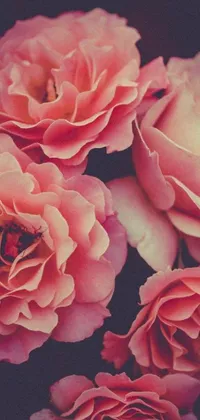 This phone live wallpaper features a charming image of pink roses on a table in retro style