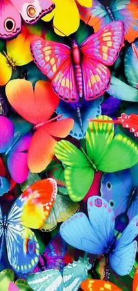 This phone live wallpaper features a vibrant image of colorful butterflies, perfect for nature enthusiasts or those looking for a bright and cheerful mobile backdrop
