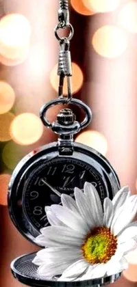 This wallpaper is a live phone background featuring a close-up of a silver clock adorned with a beautiful flower