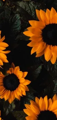 This live wallpaper features a group of yellow sunflowers arranged in a hyperrealistic, almost three-dimensional format