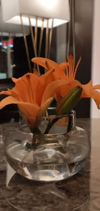 This live wallpaper for your phone features an elegant arrangement of orange hurufiyya flowers in a clear glass vase on a table, surrounded by soft lily petals