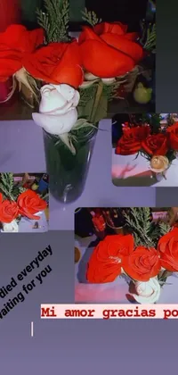 This live phone wallpaper features a beautiful vase filled with realistic red roses on top of a table, with glitter and delicate anime cat ears surrounding the vase