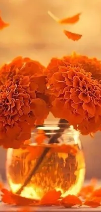 Experience the beauty of nature with this live wallpaper featuring vibrant orange marigold flowers arranged in a stunning vase on a wooden table
