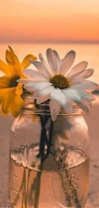 This phone live wallpaper depicts a vase of wildflowers sitting on a sandy beach, framed against a soft golden light