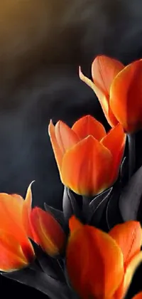 This vibrant phone live wallpaper features a stunning close-up of a bouquet of orange tulips in a black and red color scheme