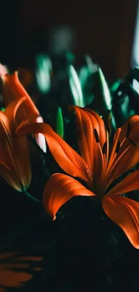 This new phone live wallpaper showcases a bouquet of stylish orange flowers on top of a wooden table
