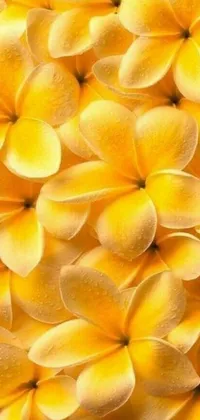 This stunning phone live wallpaper showcases a bunch of yellow flowers against a vibrant blue sky with tropical lighting