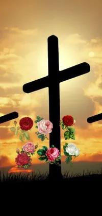 This live wallpaper for phone features a digital illustration of crosses arranged neatly on a grassy field, accented by roses and a floral sunset