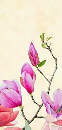 Flower Painting Petal Live Wallpaper