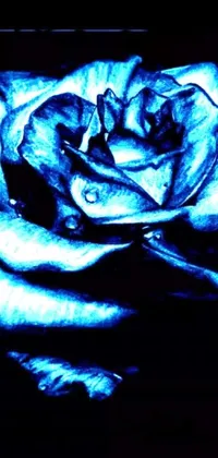 This phone live wallpaper boasts a beautiful digital art depiction of a blue rose