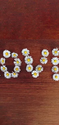This live wallpaper showcases a beautiful image of the word "love" made of daisies on a wooden surface