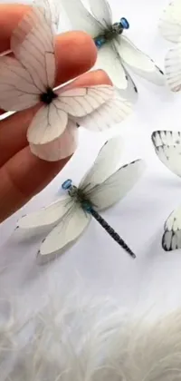 This live wallpaper for phones showcases a bunch of white butterflies fluttering around a blooming pink flower, with a beautiful hyperrealistic painting style Also featured is a transparent marble butterfly created with silk paper, along with intricate butterfly jewelry and gemstones