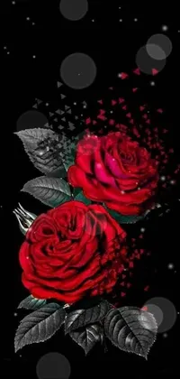 Flower Petal Botany Live Wallpaper