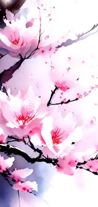 Flower Petal Branch Live Wallpaper