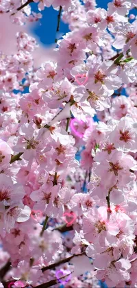 spring 3D wallpaper with hearts Live Wallpaper