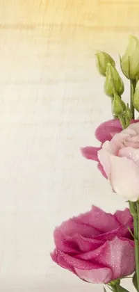 This lovely live wallpaper displays a vase brimming with pink and white stock photo flowers on a parchment background