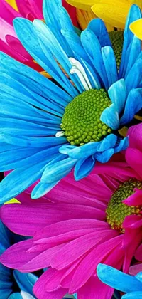 This phone live wallpaper features a stunning close-up shot of colorful flowers, designed to brighten up your screen
