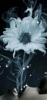 Flower Petal Flash Photography Live Wallpaper