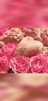 Enhance your phone's look with this beautiful live wallpaper featuring a close-up shot of vibrant pink roses