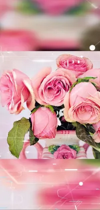 Flower Petal Hybrid Tea Rose Live Wallpaper