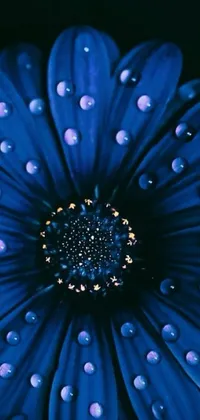 "Transform your phone's screen into a masterpiece with this captivating live wallpaper depicting a blue flower with crystal-clear water droplets