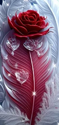 Flower Petal Liquid Live Wallpaper