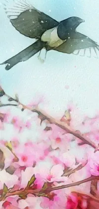 Flower Petal Pink Live Wallpaper