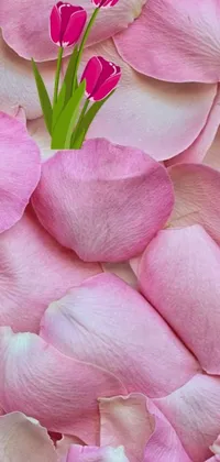 This phone live wallpaper features a close-up of a pink flower surrounded by petals, large individual rose petals, tulip, and flowers with very long petals