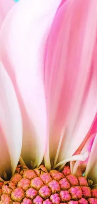 Looking for a stunning phone live wallpaper? Discover this exquisite artwork featuring a beautiful pink flower in full bloom