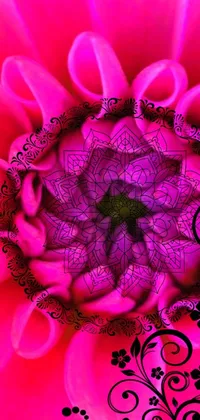 This cellphone wallpaper features a stunning digital art of a pink flower with black swirls
