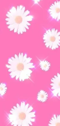 This live wallpaper features a stunning pink background with a bunch of white daisies in the foreground
