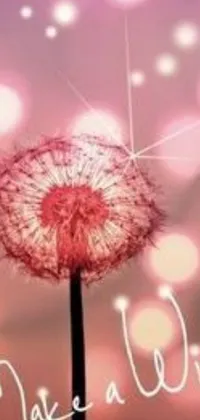This phone live wallpaper features a delightful dandelion with "make a wish" written in cursive
