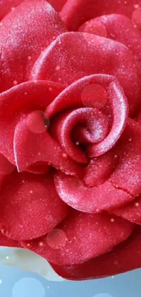 Get this stunning live wallpaper of a red rose sitting on a cupcake with arabesque background