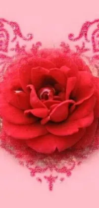 Flower Petal Pink Live Wallpaper