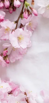 Enjoy the beauty of nature with this pink flower live wallpaper for your phone! This close-up image features a bunch of delicate pink flowers in the traditional Japanese art style of sōsaku hanga