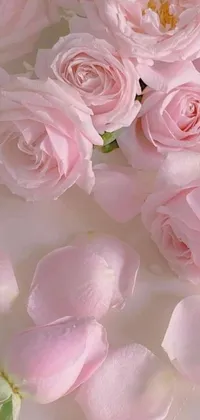 Flower Petal Plant Live Wallpaper