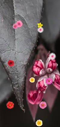 This lovely phone live wallpaper showcases a striking close-up of a pink flower on a leaf