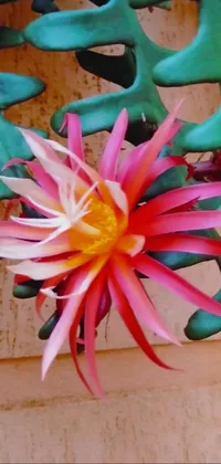 This phone live wallpaper features a stunning pink flower sitting on top of a green plant