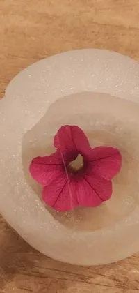 This stunning live phone wallpaper showcases a unique piece of ice with a beautiful frozen flower inside